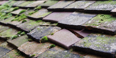 East Hatley roof repair costs